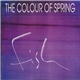 The Colour Of Spring - Fish